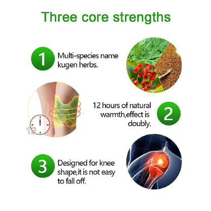 Pack Of 10 Herbal Knee Pain Relief Patch – Ayurvedic Knee Patch for Arthritis, Joint Pain, Leg Pain